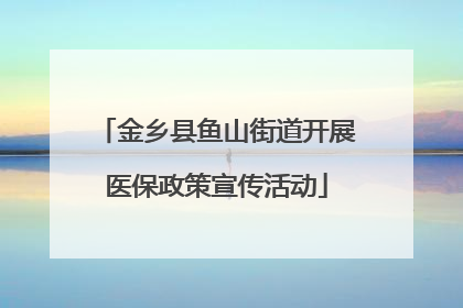 金乡县鱼山街道开展医保政策宣传活动