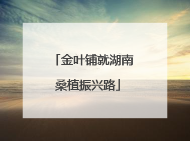 金叶铺就湖南桑植振兴路