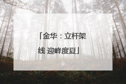 金华：立杆架线 迎峰度夏