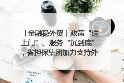 金融稳外贸｜政策“送上门”、服务“沉到底”，省担保集团加力支持外经贸高质量发展