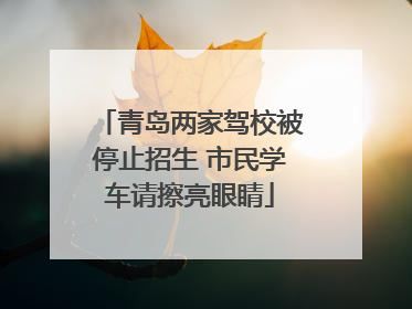 青岛两家驾校被停止招生 市民学车请擦亮眼睛
