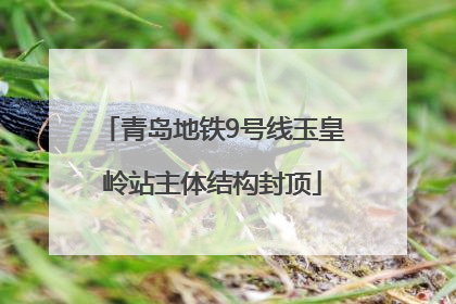 青岛地铁9号线玉皇岭站主体结构封顶