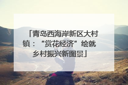 青岛西海岸新区大村镇：“赏花经济”绘就乡村振兴新图景
