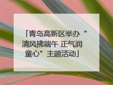 青岛高新区举办“清风拂端午 正气润童心”主题活动