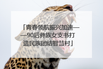 青春领航振兴加速——90后彝族女支书打造民族团结智慧村
