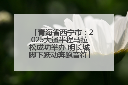 青海省西宁市：2025大通半程马拉松成功举办 明长城脚下跃动奔跑音符