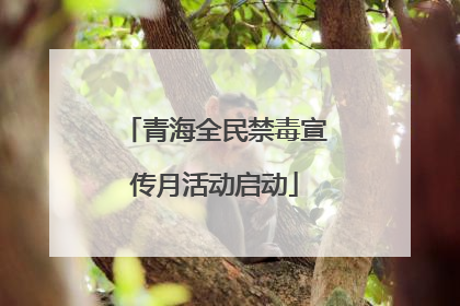 青海全民禁毒宣传月活动启动