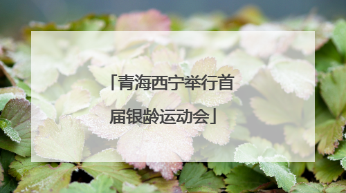 青海西宁举行首届银龄运动会