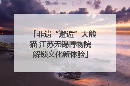 非遗“邂逅”大熊猫 江苏无锡博物院解锁文化新体验