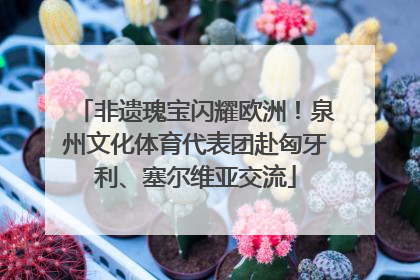 非遗瑰宝闪耀欧洲！泉州文化体育代表团赴匈牙利、塞尔维亚交流