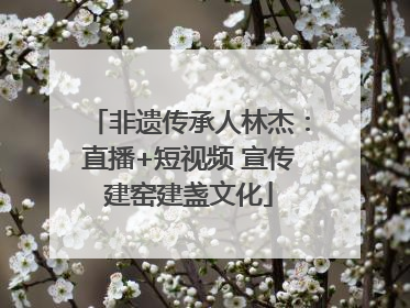 非遗传承人林杰：直播+短视频 宣传建窑建盏文化