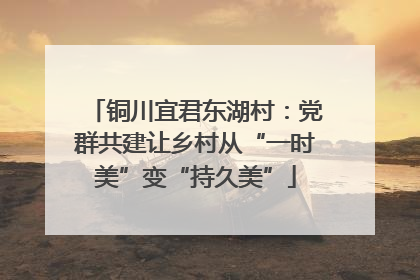 铜川宜君东湖村：党群共建让乡村从“一时美”变“持久美”