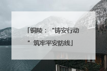 铜陵：“铸安行动”筑牢平安防线