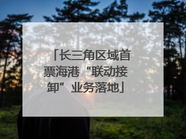 长三角区域首票海港“联动接卸”业务落地