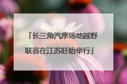 长三角汽摩场地越野联赛在江苏盱眙举行