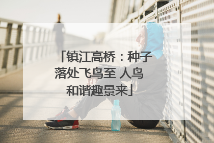 镇江高桥：种子落处飞鸟至 人鸟和谐趣景来