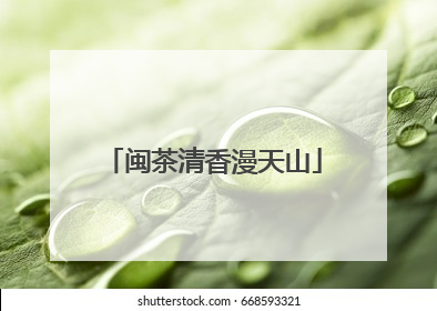 闽茶清香漫天山