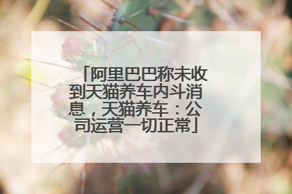 阿里巴巴称未收到天猫养车内斗消息，天猫养车：公司运营一切正常