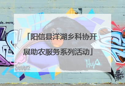 阳信县洋湖乡科协开展助农服务系列活动