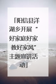 阳信县洋湖乡开展“好家庭好家教好家风”主题宣讲活动