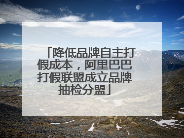 降低品牌自主打假成本，阿里巴巴打假联盟成立品牌抽检分盟