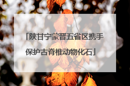陕甘宁蒙晋五省区携手保护古脊椎动物化石