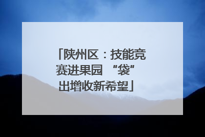 陕州区：技能竞赛进果园 “袋”出增收新希望