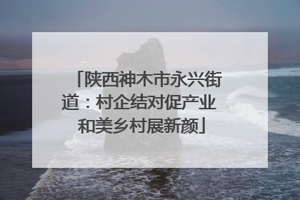 陕西神木市永兴街道：村企结对促产业 和美乡村展新颜