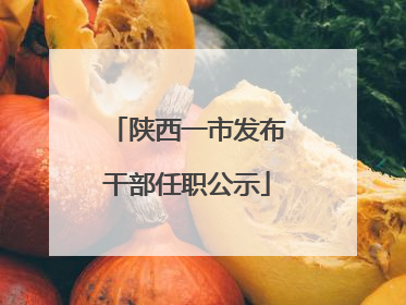 陕西一市发布干部任职公示