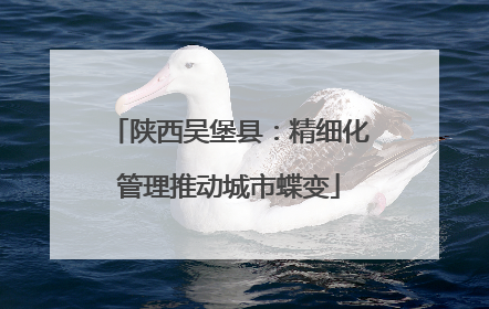 陕西吴堡县：精细化管理推动城市蝶变