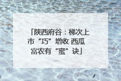 陕西府谷：梯次上市“巧”增收 西瓜富农有“蜜”诀