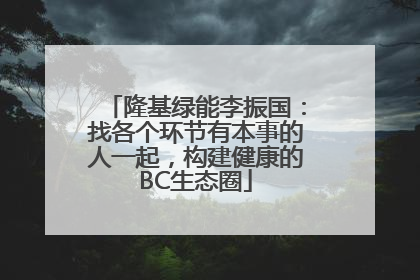 隆基绿能李振国：找各个环节有本事的人一起，构建健康的BC生态圈