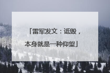 雷军发文：诋毁，本身就是一种仰望