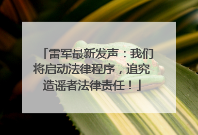 雷军最新发声：我们将启动法律程序，追究造谣者法律责任！