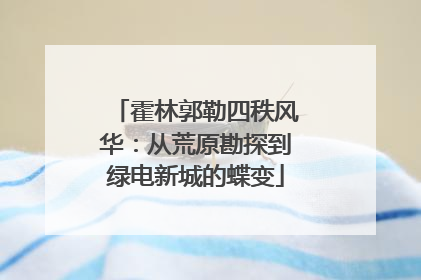 霍林郭勒四秩风华：从荒原勘探到绿电新城的蝶变