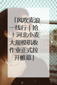 风吹麦浪一线行｜抢！河北小麦大规模机收作业正式拉开帷幕
