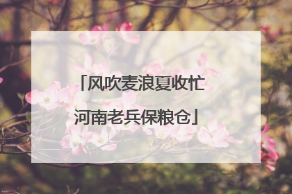 风吹麦浪夏收忙 河南老兵保粮仓