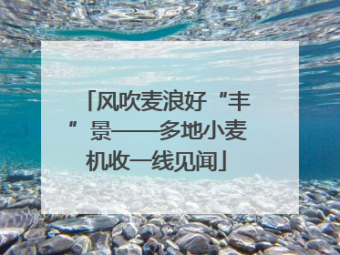 风吹麦浪好“丰”景——多地小麦机收一线见闻