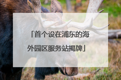 首个设在浦东的海外园区服务站揭牌