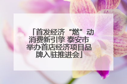 首发经济“燃”动消费新引擎 泰安市举办首店经济项目品牌入驻推进会