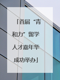 首届“青和力”留学人才嘉年华成功举办