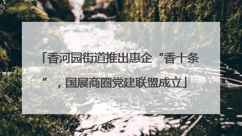 香河园街道推出惠企“香十条”，国展商圈党建联盟成立