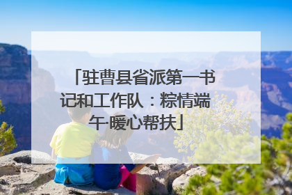 驻曹县省派第一书记和工作队：粽情端午·暖心帮扶