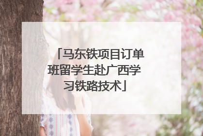 马东铁项目订单班留学生赴广西学习铁路技术