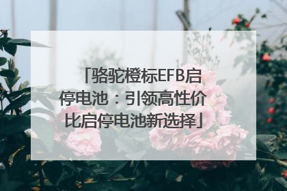 骆驼橙标EFB启停电池：引领高性价比启停电池新选择