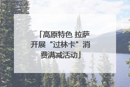 高原特色 拉萨开展“过林卡”消费满减活动