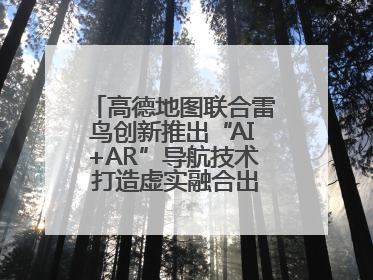 高德地图联合雷鸟创新推出“AI+AR”导航技术 打造虚实融合出行新体验