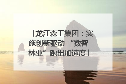 龙江森工集团：实施创新驱动 “数智林业”跑出加速度