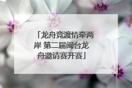 龙舟竞渡情牵两岸 第二届闽台龙舟邀请赛开赛