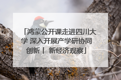 鸿蒙公开课走进四川大学 深入开展产学研协同创新丨 新经济观察